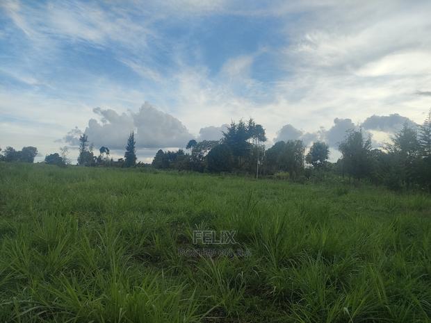 Karatina/Gitunduti 1 Acre - thumbnail 7