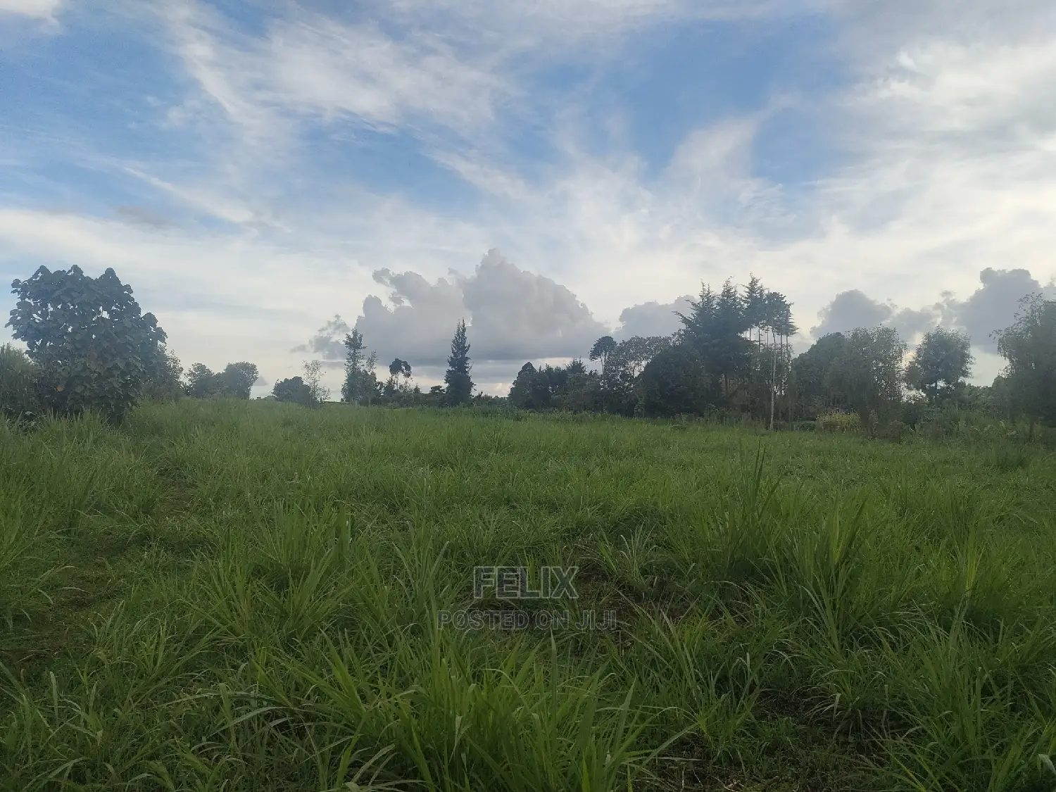 Karatina/Gitunduti 1 Acre