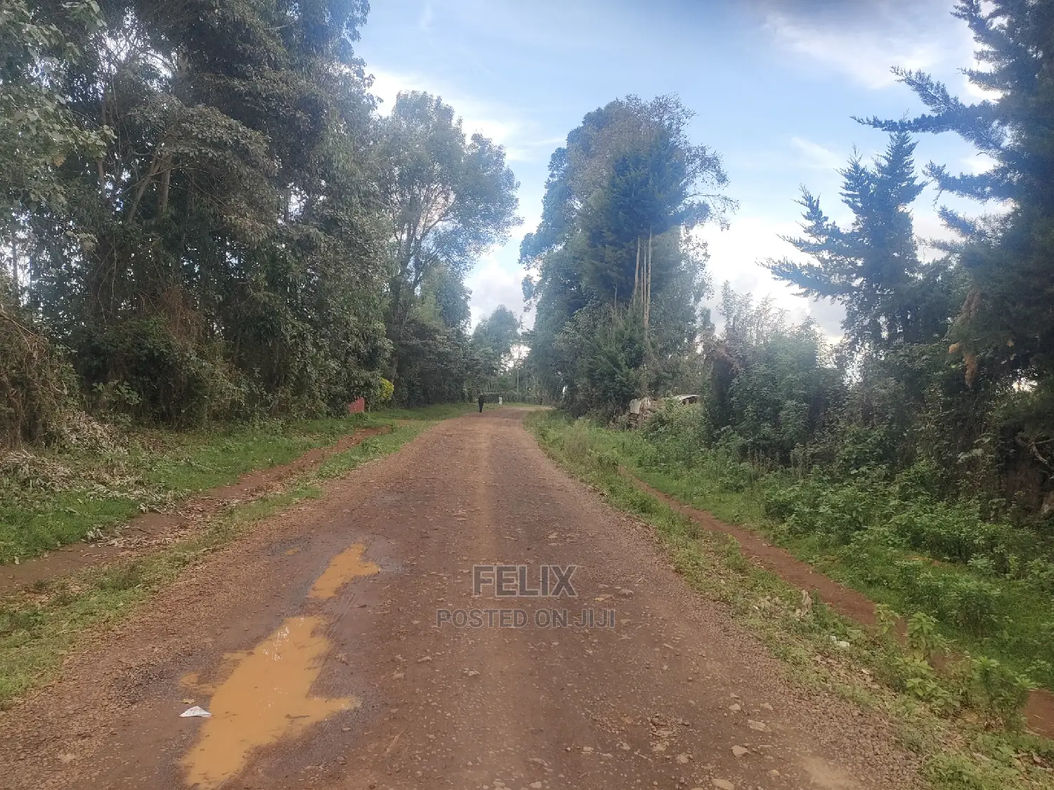 Karatina/Gitunduti 1 Acre