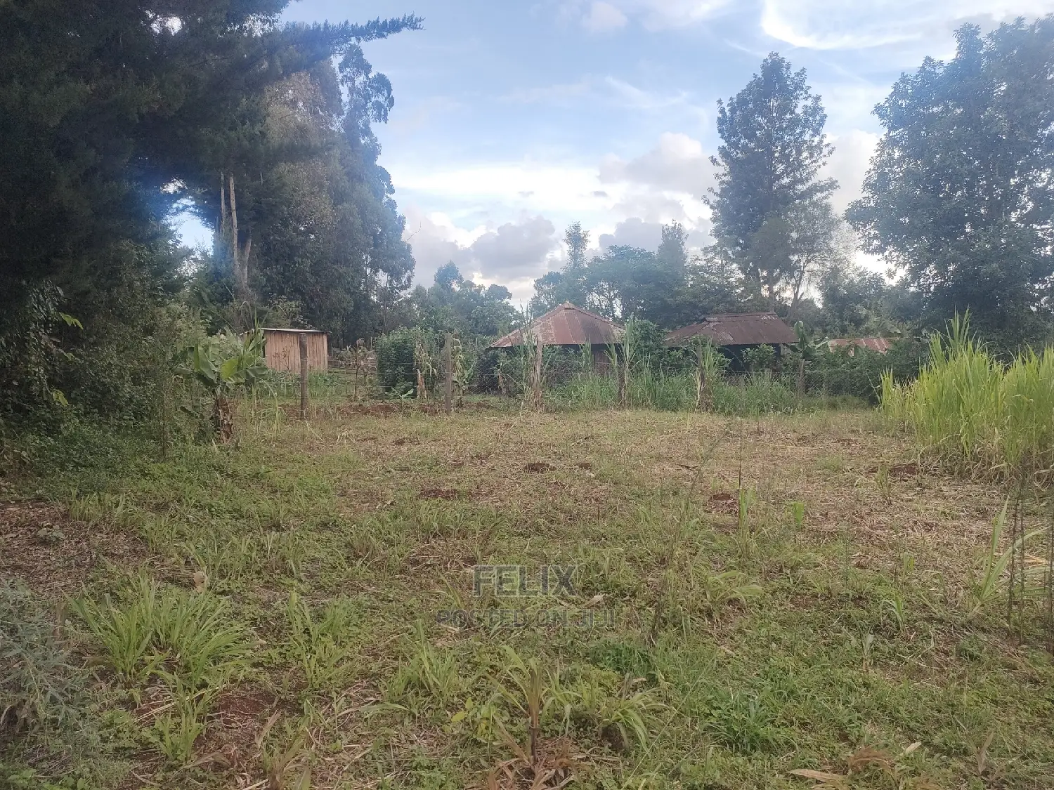 Karatina/Kanjuri 1 Acre