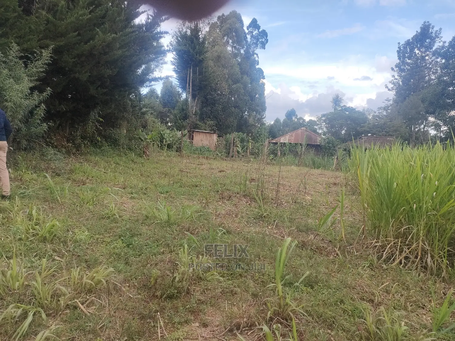 Karatina/Kanjuri 1 Acre
