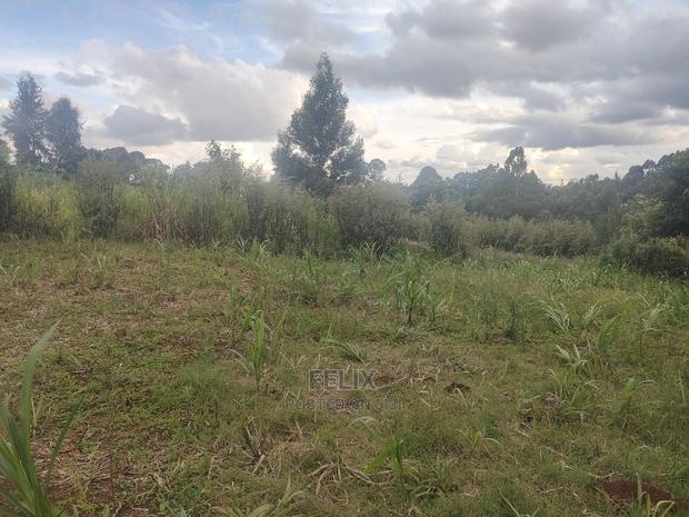 Karatina/Kanjuri 1 Acre - thumbnail 4