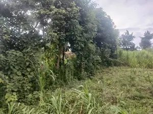 Karatina/Kanjuri 1 Acre