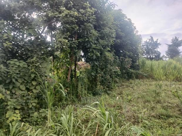 Karatina/Kanjuri 1 Acre - thumbnail 6