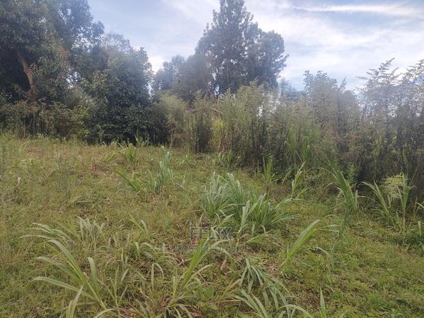 Karatina/Kanjuri 1 Acre - thumbnail 7