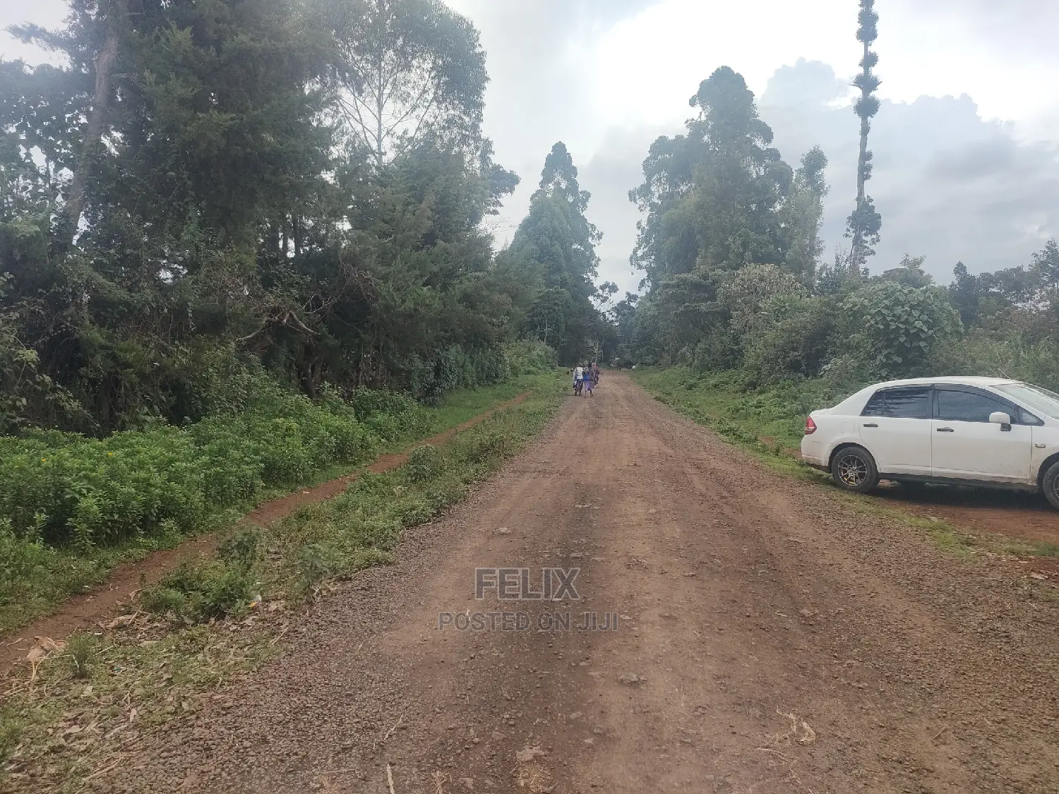 Karatina/Kanjuri 1 Acre
