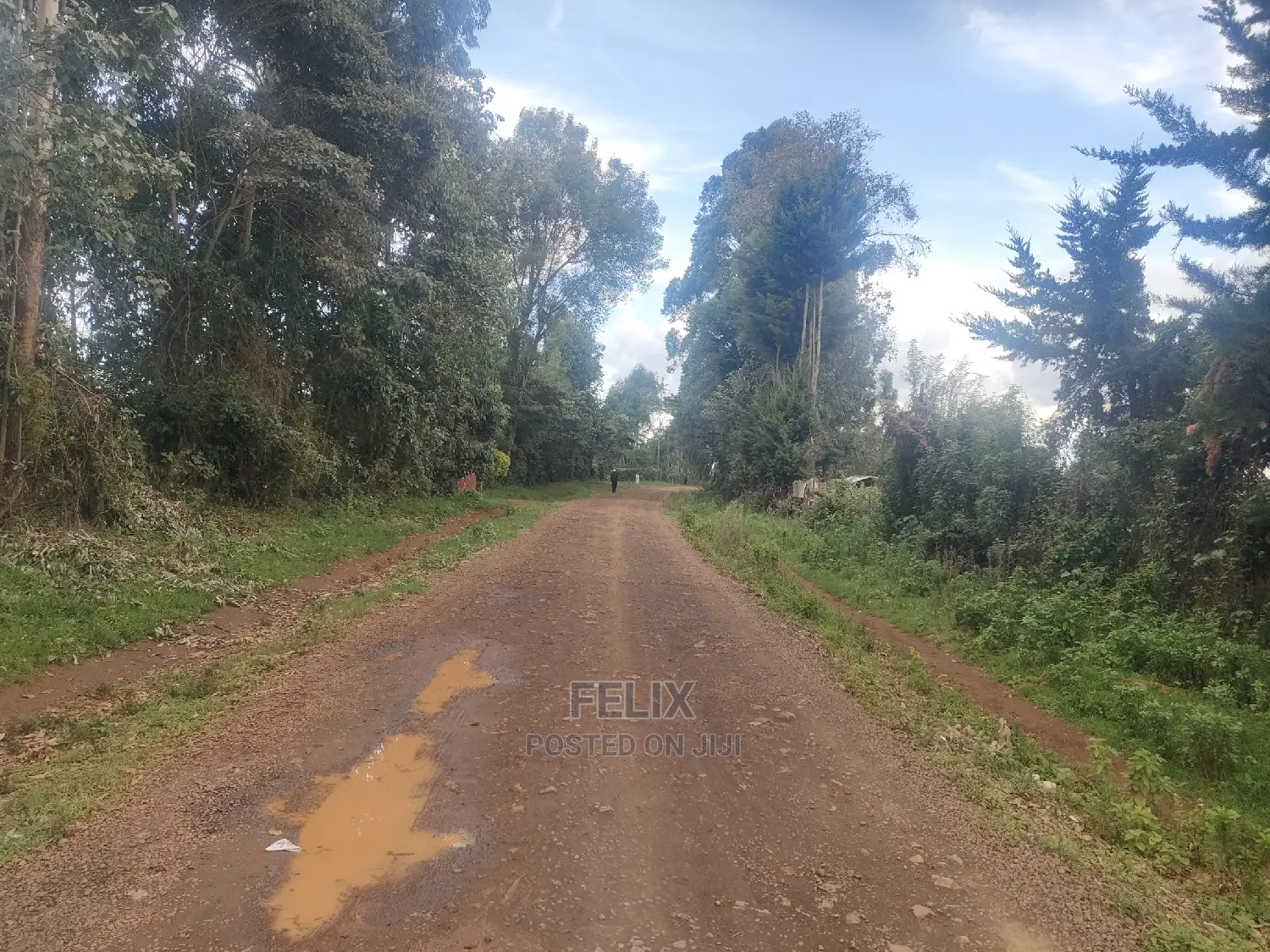 Karatina/Kanjuri 1 Acre