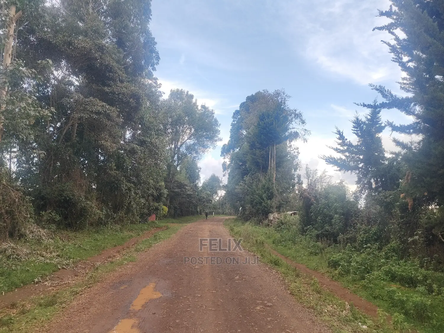 Karatina/Kanjuri 1 Acre