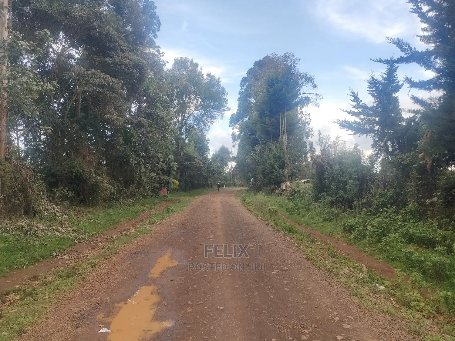 Karatina/Kanjuri 1 Acre
