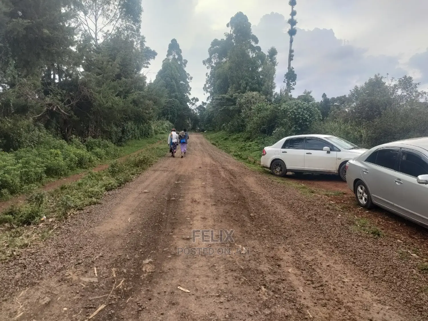 Karatina/Kanjuri 1 Acre