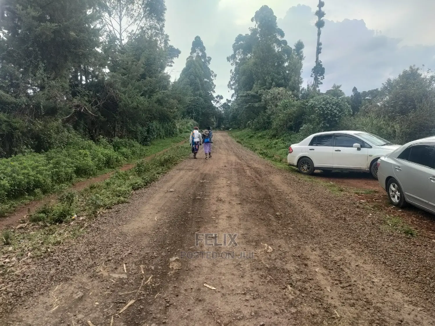 Karatina/Kanjuri 1 Acre