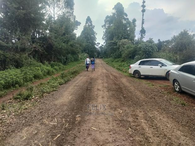 Karatina/Kanjuri 1 Acre - thumbnail 14