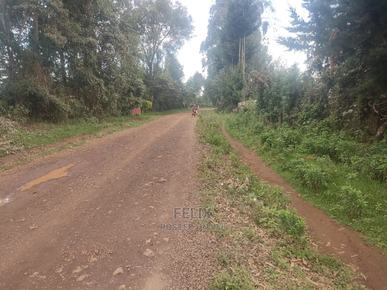 Karatina/Kanjuri 1 Acre