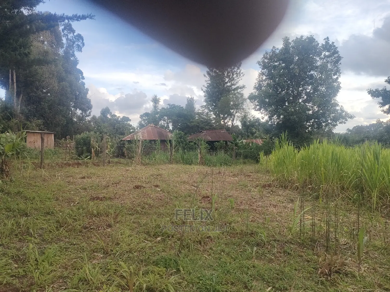 Karatina/Kanjuri 1 Acre