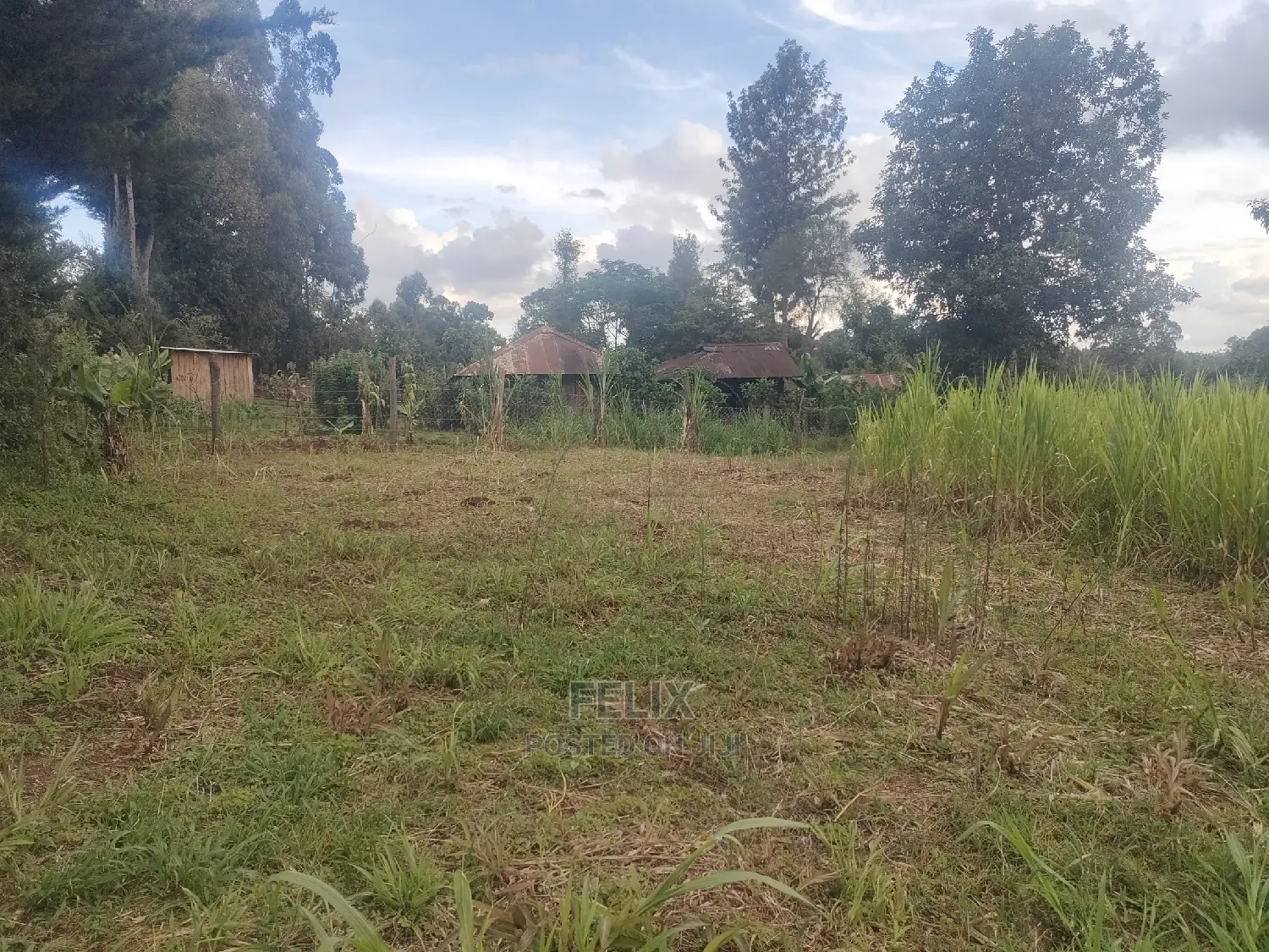 Karatina/Kanjuri 1 Acre