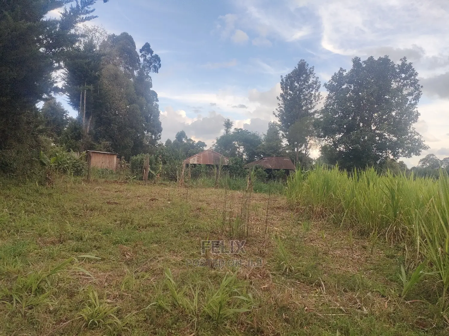 Karatina/Kanjuri 1 Acre