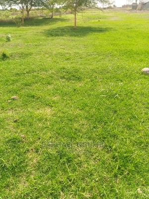 Half (1/2) Acre at Thaitha Muumandu. - thumbnail 2