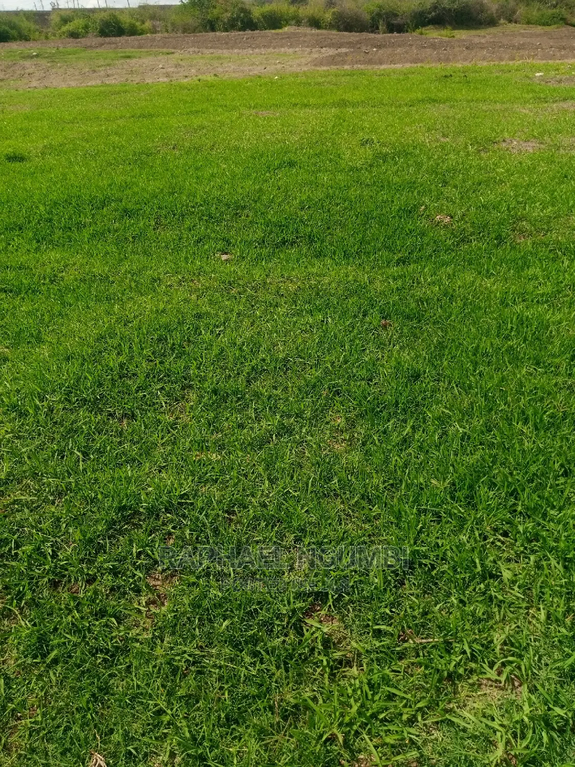 Half (1/2) Acre at Thaitha Muumandu.