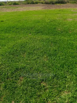 Half (1/2) Acre at Thaitha Muumandu.
