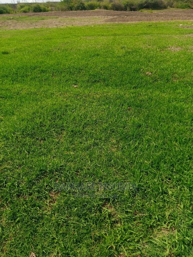 Half (1/2) Acre at Thaitha Muumandu. - thumbnail 3