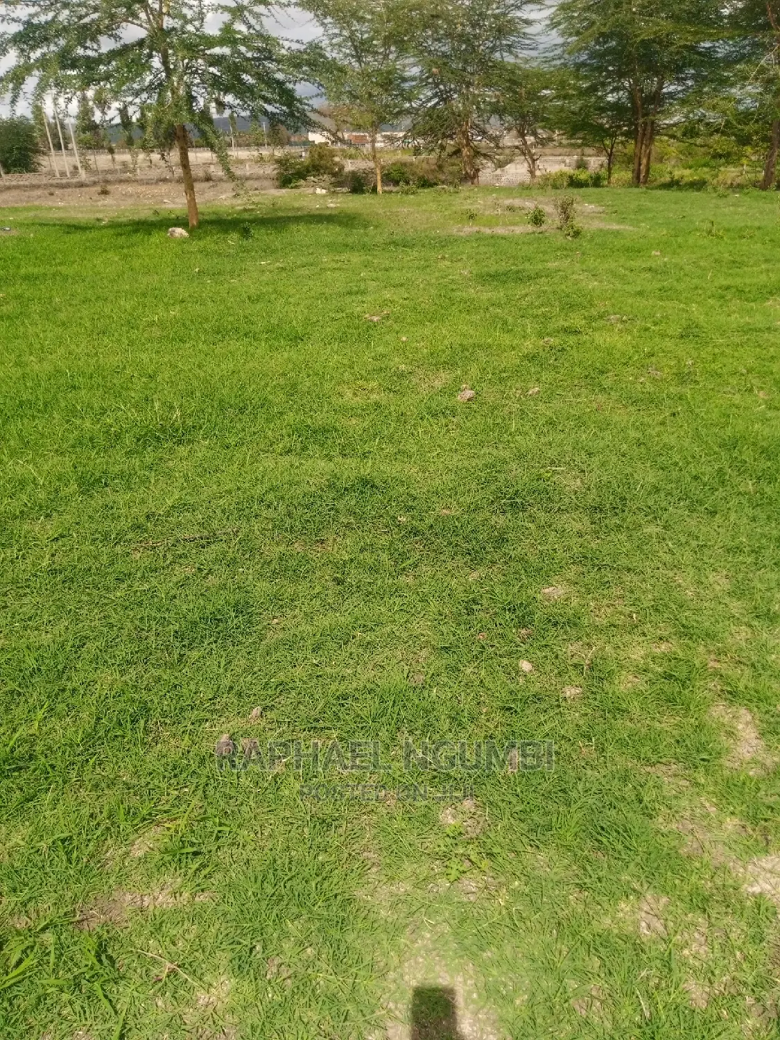 Prime 10 Acres at Konza Malili