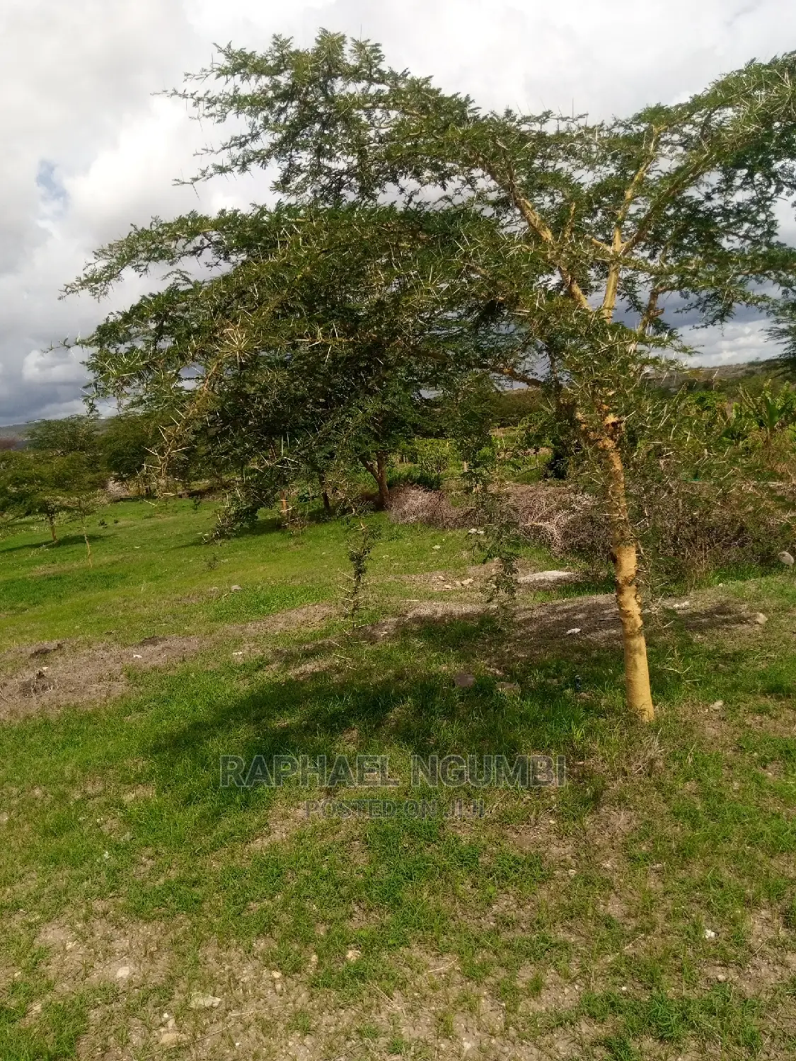 Prime 10 Acres at Konza Malili