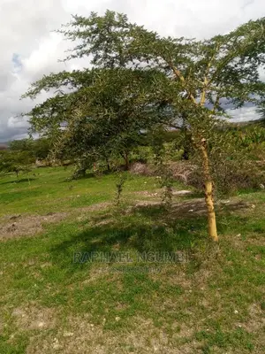 Prime 10 Acres at Konza Malili