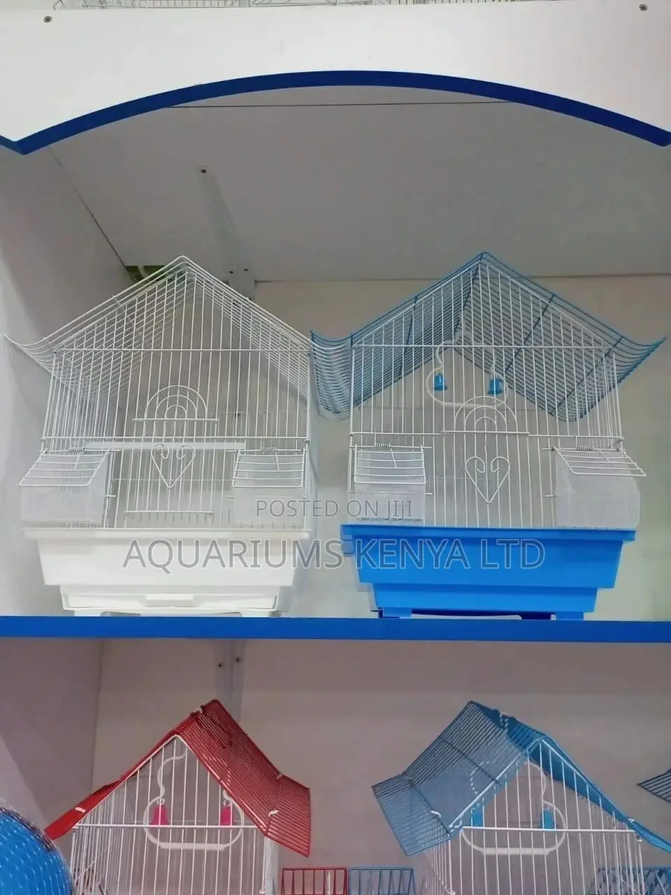 Parrot Cage,