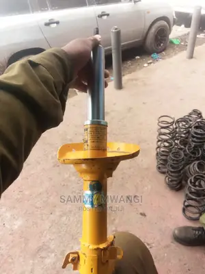 Subaru Br9 Blistain Shocks