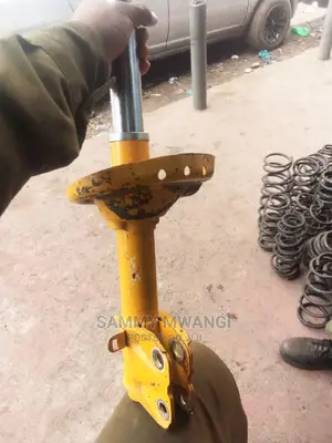 Subaru Br9 Blistain Shocks