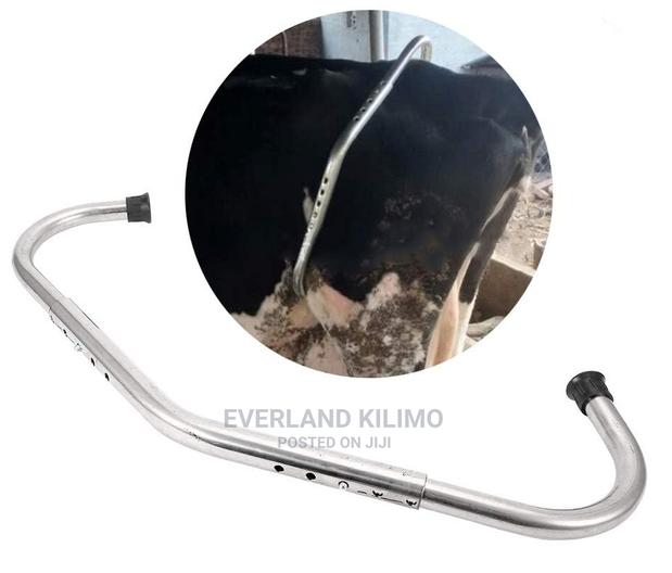 Milking Anti Kick - main view