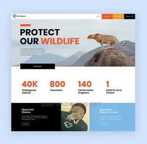 Website Design