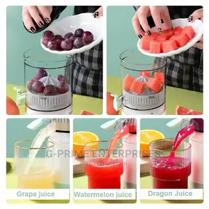 Citrus Juicer