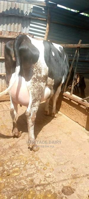 Best Producers - thumbnail 2