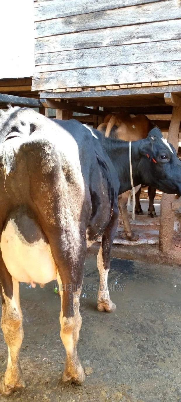 Best Producers - thumbnail 3