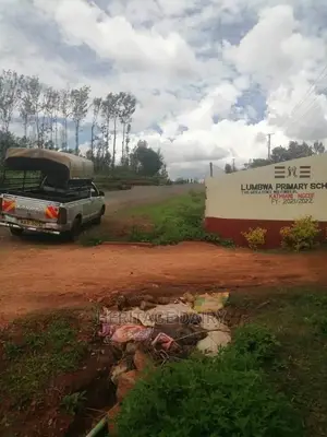 Cow Delivery Countrywide