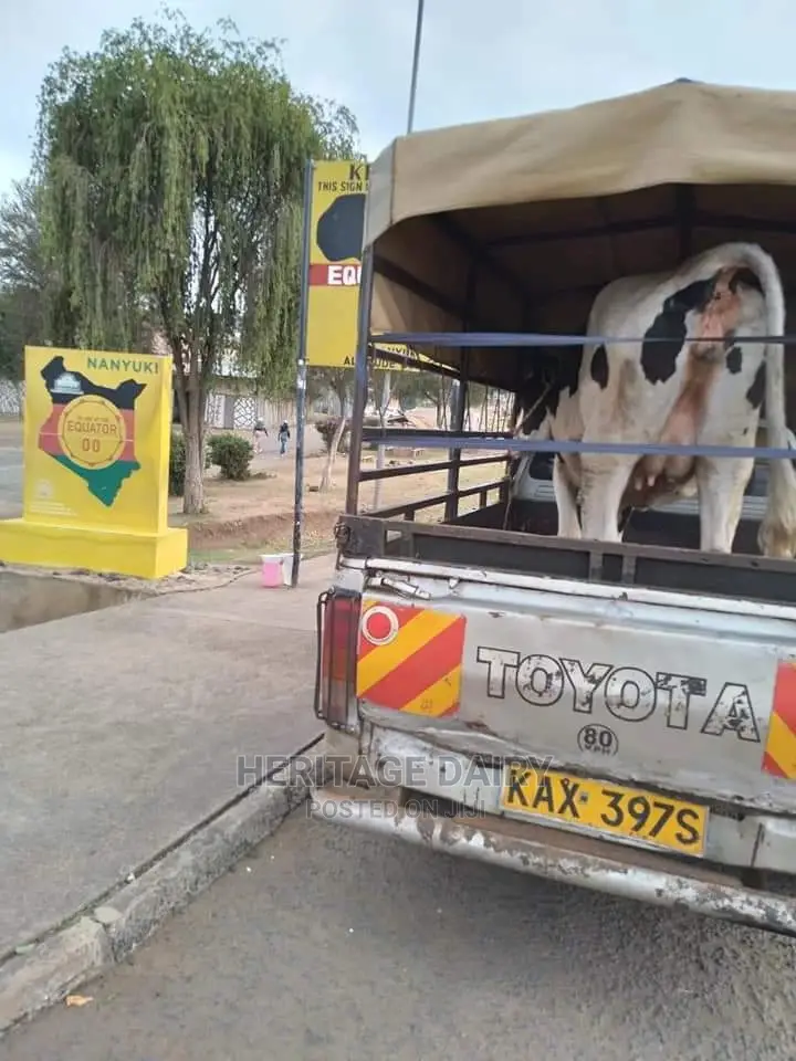 Cow Delivery Countrywide