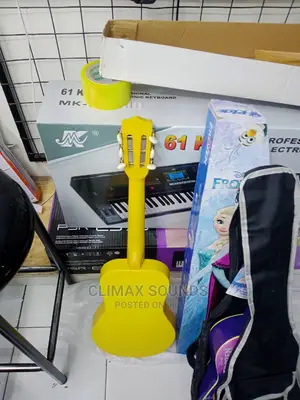 Acoustic Guitar 