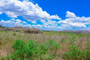 Plots for Sale