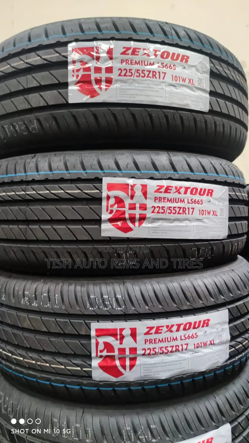 225/55r17 Premium Tire