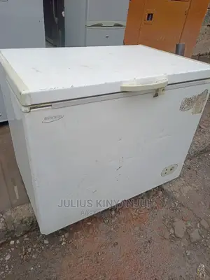 Deep Freezer 350l