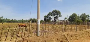 1⁄4 Plots for Sale in Eldoret Royalton New Tarmac