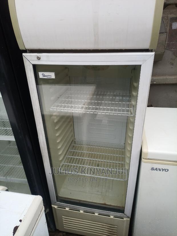 Display 250l Chiller