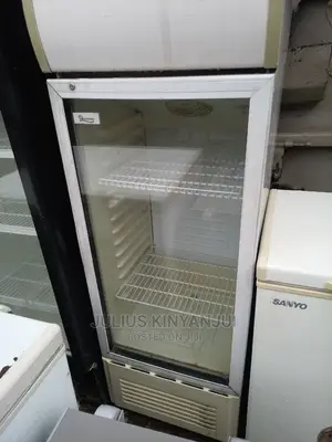 Display 250l Chiller