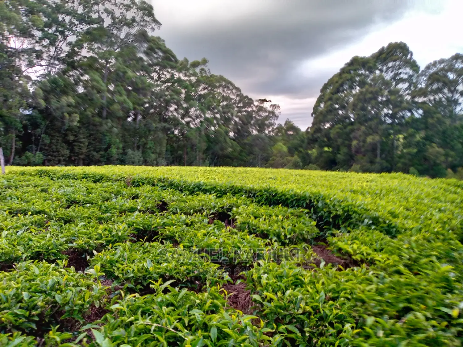 3bdrm Bungalow in Gatumbiro,Tetu Nyeri for Sale in Tetu Houses