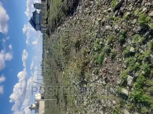 Plots in Silicon Valley