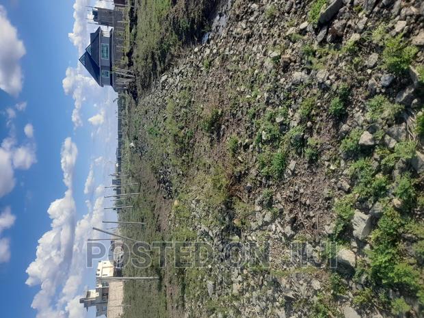 Plots in Silicon Valley - thumbnail 2