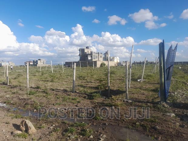 Plots in Silicon Valley - thumbnail 3