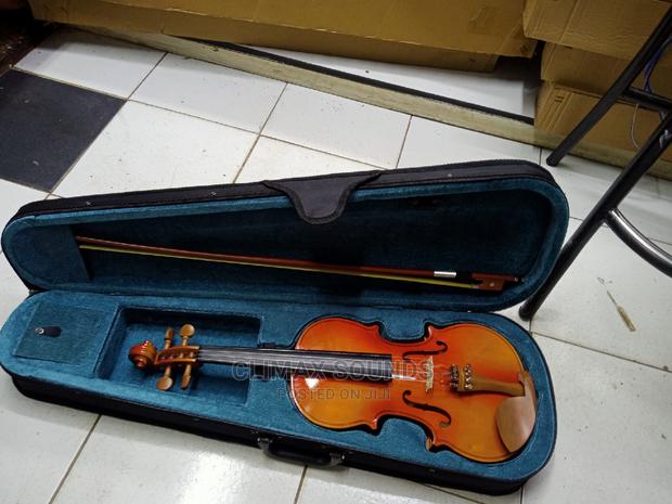 Violin Maples