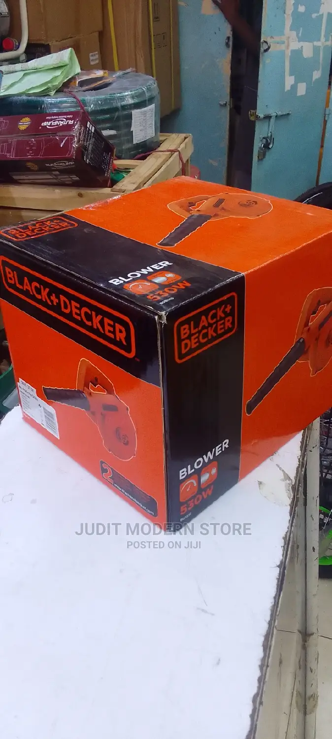 Black and Decker Blower